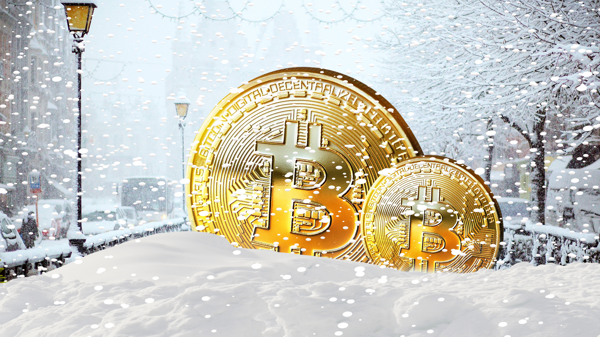 Crypto Winters: What Are They and How To Survive in Them?