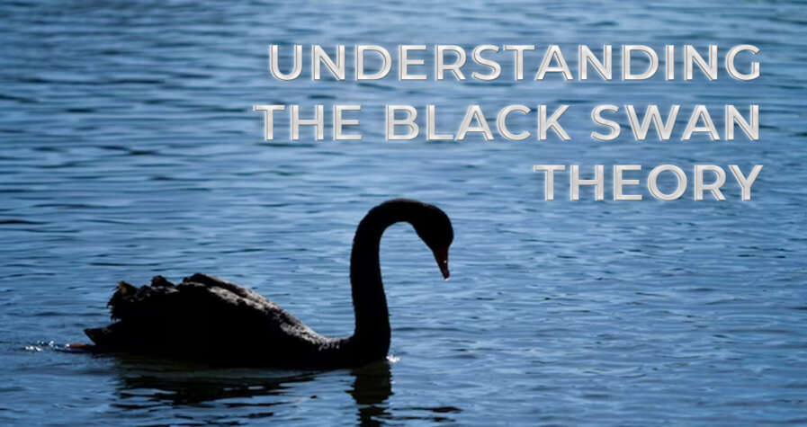 Understanding the Black Swan Theory With the Help of Examples 