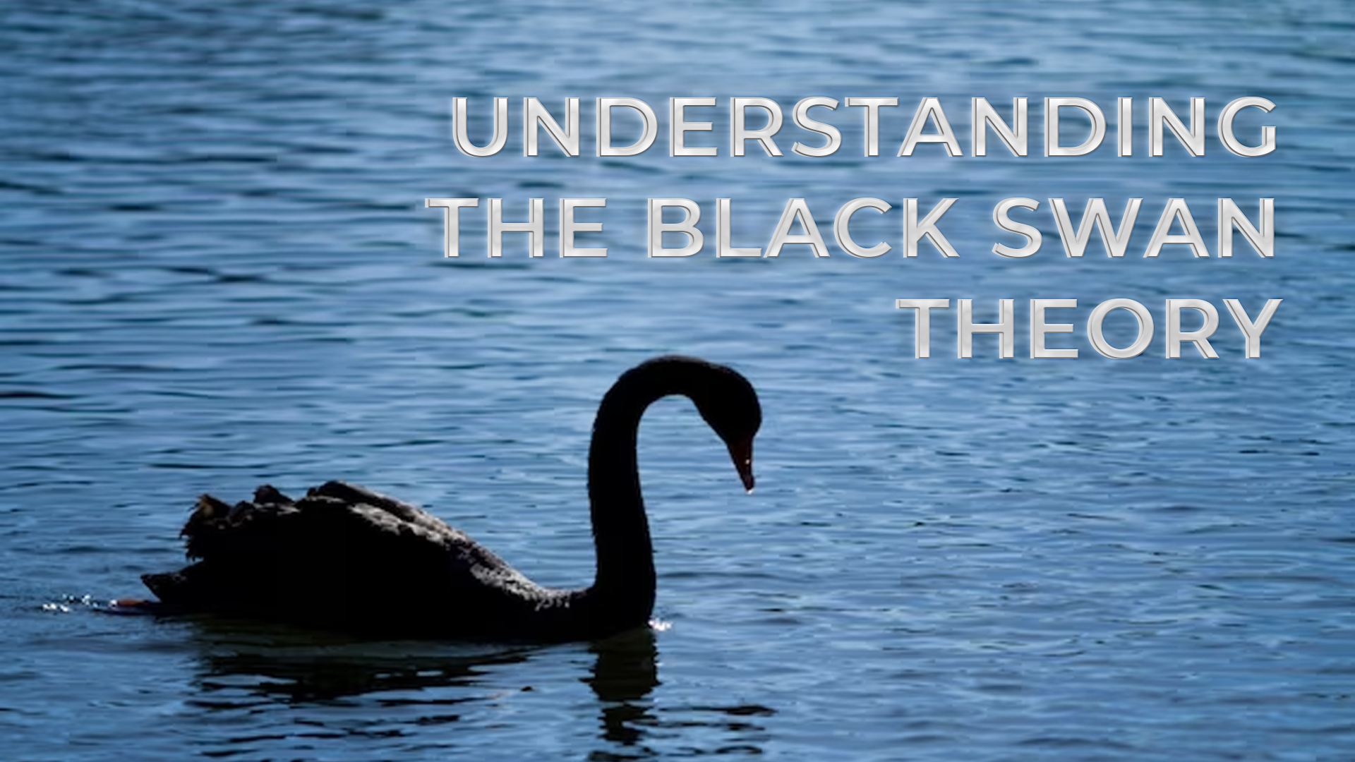 Understanding the Black Swan Theory With the Help of Examples 