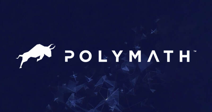 Polymath: Unlocking The Potential Of Real-World Assets