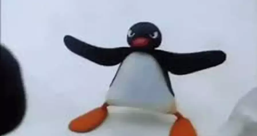 noot noot